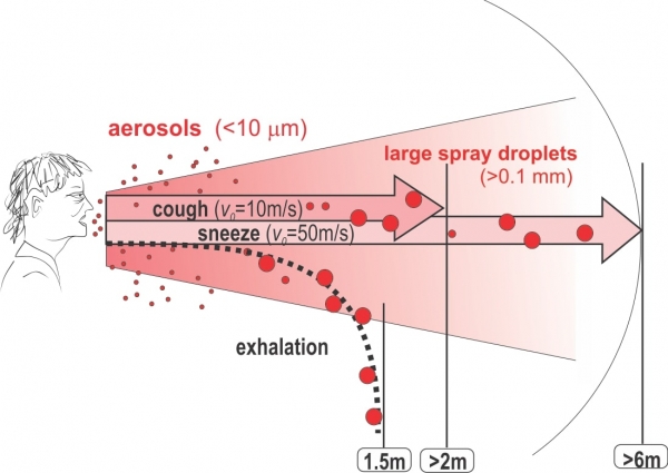 Учёный объяснил, почему каждый человек должен носить маску ради победы над коронавирусом