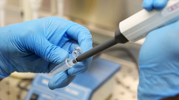 Найдены "идеальные" животные для тестирования вакцин от COVID-19