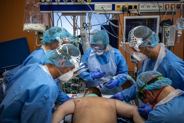 «Организм убивает сам себя» «Организм убивает сам себя»