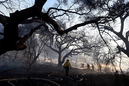Предсказаны новые катастрофичные пожары по&nbsp;всему миру