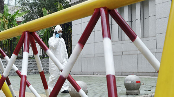 Ветеринары обнаружили коронавирус у кошек в Ухане