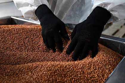 Названо оптимальное питание для самоизолированных россиян Названо оптимальное питание для самоизолированных россиян