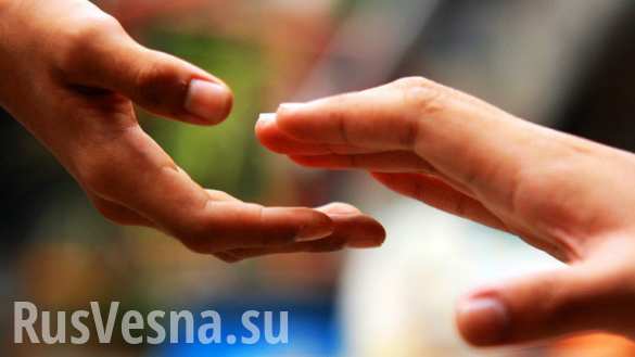 Привезти сено для козы и купить побольше сгущёнки: необычные заявки, которые получают волонтёры Привезти сено для козы и купить побольше сгущёнки: необычные заявки, которые получают волонтёры