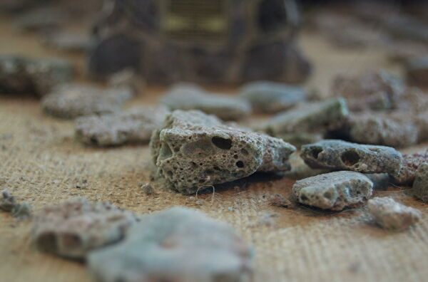 Смерть в огне. Ученые нашли следы страшной катастрофы в Сирии