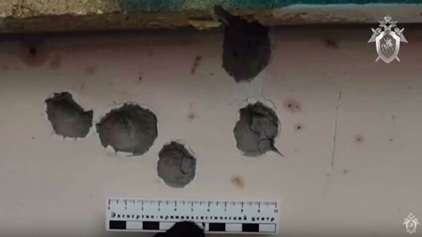 Устроивший стрельбу под Рязанью назвал свои действия "самообороной" Устроивший стрельбу под Рязанью назвал свои действия "самообороной"