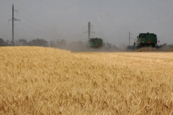 Генпрокуратура пресекла попытки ряда компаний увеличить цены на зерно