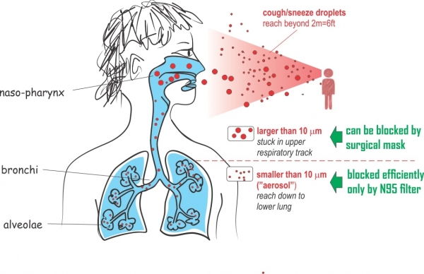 Учёный объяснил, почему каждый человек должен носить маску ради победы над коронавирусом