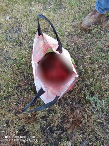 Жуткое убийство: задержанная с отрезанной головой дочери женщина устроила скандал в суде (ВИДЕО, ФОТО 18+) Жуткое убийство: задержанная с отрезанной головой дочери женщина устроила скандал в суде (ВИДЕО, ФОТО 18+)