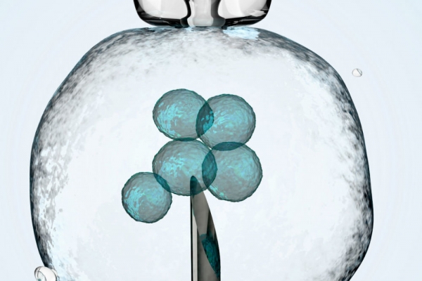 Чей "ребенок из пробирки" Чей "ребенок из пробирки"