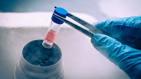 В Японии стволовые клетки впервые пересадили новорожденному В Японии стволовые клетки впервые пересадили новорожденному