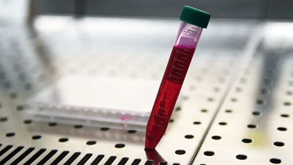 Немецкие СМИ сообщили о приостановке исследований гидроксихлорохина Немецкие СМИ сообщили о приостановке исследований гидроксихлорохина