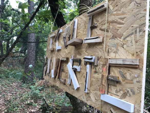 «Дети леса»: новые реалии в школе Франции (+ВИДЕО, ФОТО) «Дети леса»: новые реалии в школе Франции (+ВИДЕО, ФОТО)