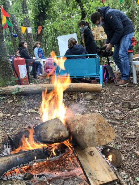 «Дети леса»: новые реалии в школе Франции (+ВИДЕО, ФОТО) «Дети леса»: новые реалии в школе Франции (+ВИДЕО, ФОТО)