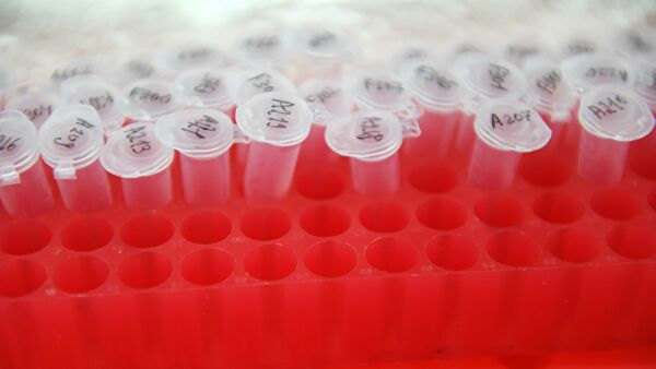 В "Векторе" разработали вакцину от коронавируса для закапывания в нос В "Векторе" разработали вакцину от коронавируса для закапывания в нос