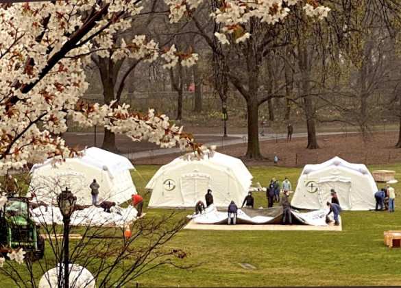 Каким будет мир после коронавируса? — мнение (ФОТО)