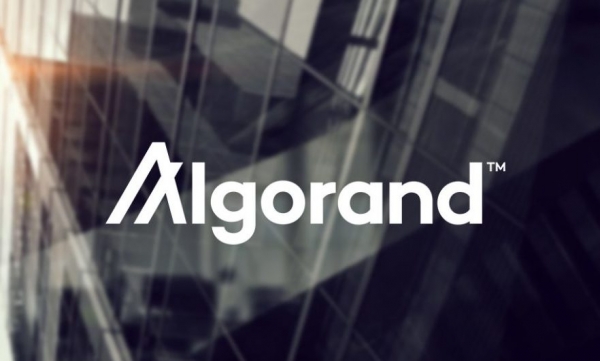 Algorand и Attestiv сотрудничают для борьбы с мошенничеством в индустрии страхования Algorand и Attestiv сотрудничают для борьбы с мошенничеством в индустрии страхования