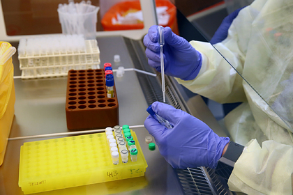 Обнаружено новое средство от&nbsp;коронавируса