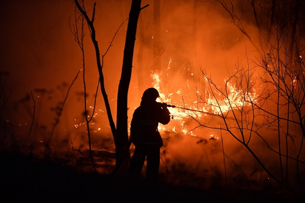 Названы регионы с высокими рисками природных пожаров на этой неделе