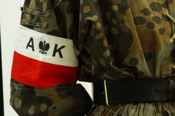 Как польская Армия Крайова пыталась задержать гитлеровцев на восточном фронте: из истории Второй мировой Как польская Армия Крайова пыталась задержать гитлеровцев на восточном фронте: из истории Второй мировой