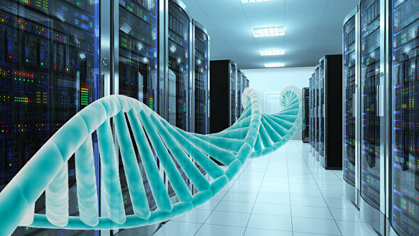 Ученые создали программу для поиска родственных связей между животными Ученые создали программу для поиска родственных связей между животными