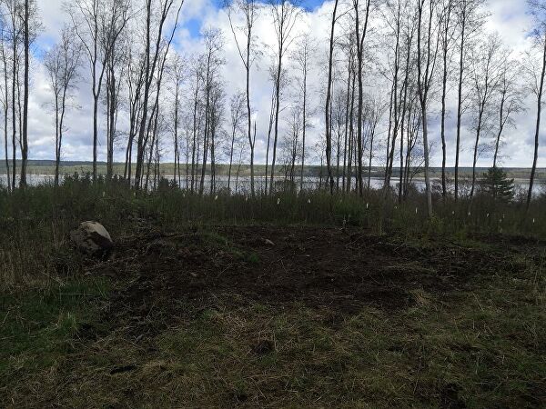 СК расследует повреждения культовых камней железного века в Ленобласти