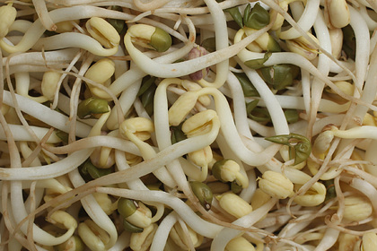 Найдено средство против распространенной смертельной болезни мозга Найдено средство против распространенной смертельной болезни мозга