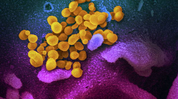 Ученые обнаружили у переболевших COVID-19 новые более сильные антитела