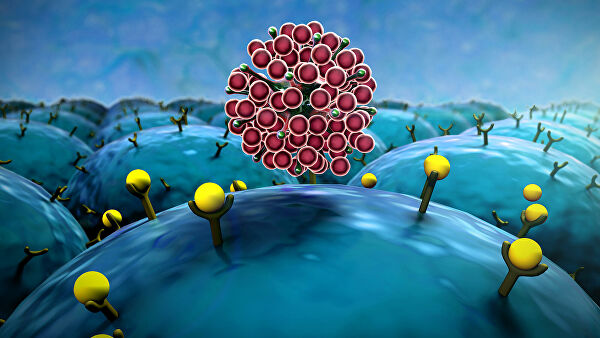 Ученые выяснили, как работает иммунитет против респираторных вирусов Ученые выяснили, как работает иммунитет против респираторных вирусов