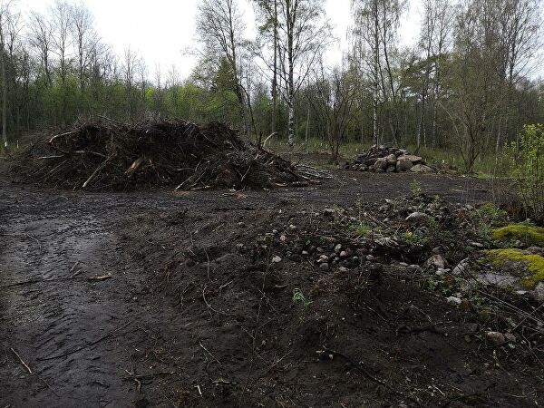 СК расследует повреждения культовых камней железного века в Ленобласти