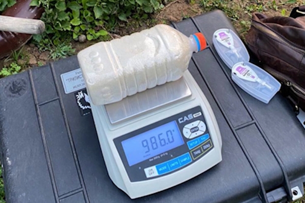 На острие иглы