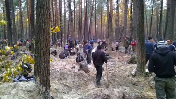 «Подумали, что видео из Африки»: на Западной Украине массово воруют янтарь (ВИДЕО)