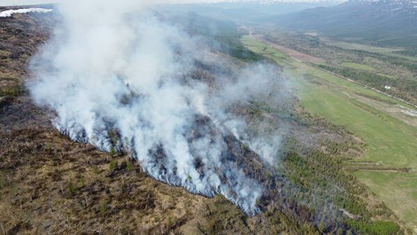 Врач рассказал об особенных последствиях лесных пожаров в этом году Врач рассказал об особенных последствиях лесных пожаров в этом году