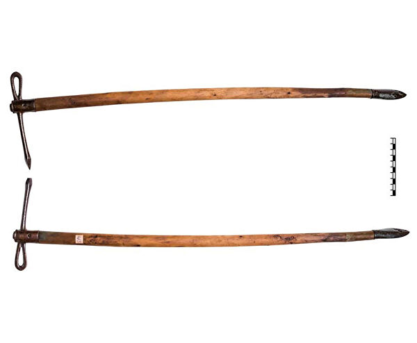 Загадка амазонок. Древние воины-мужчины на самом деле оказались женщинами Загадка амазонок. Древние воины-мужчины на самом деле оказались женщинами