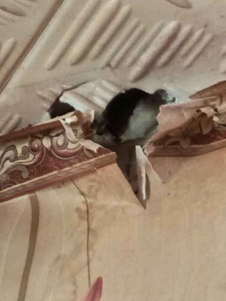 ВАЖНО: Подлые атаки на ДНР и ЛНР — обесточен посёлок (ФОТО) ВАЖНО: Подлые атаки на ДНР и ЛНР — обесточен посёлок (ФОТО)