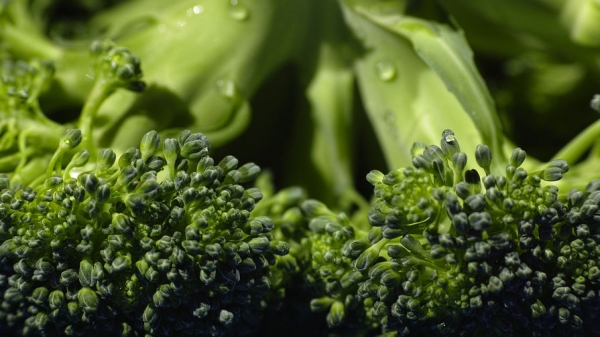 Назван позволяющий замедлить старение продукт