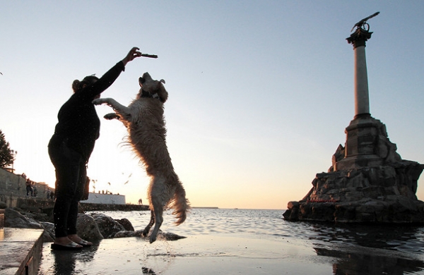 В&nbsp;Крыму прокомментировали идею Киева о&nbsp;платформе &laquo;по&nbsp;деоккупации&raquo;