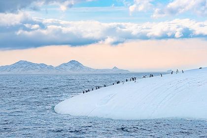 В Антарктиде зафиксировали температурный рекорд В Антарктиде зафиксировали температурный рекорд