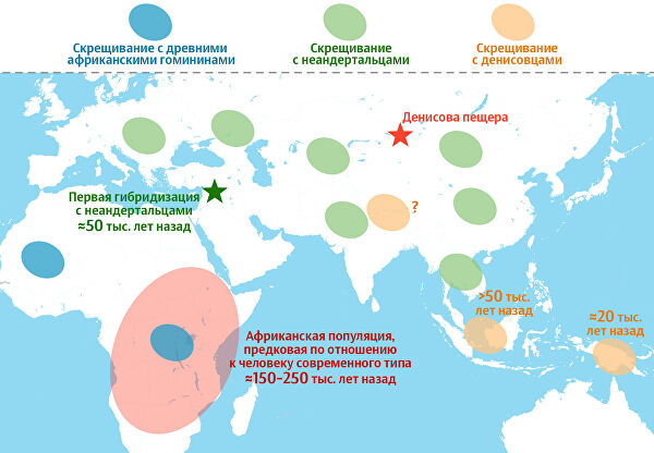 Кто-то третий. В геноме человека обнаружили следы неизвестного предка Кто-то третий. В геноме человека обнаружили следы неизвестного предка