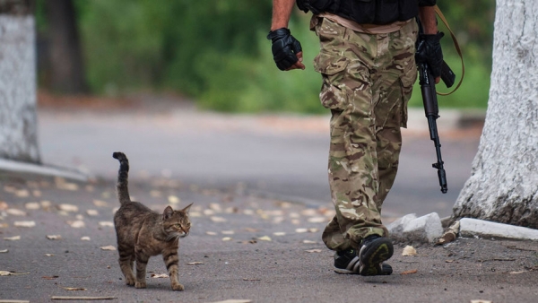 Украинские силовики размещают технику у жилых домов в Донбассе