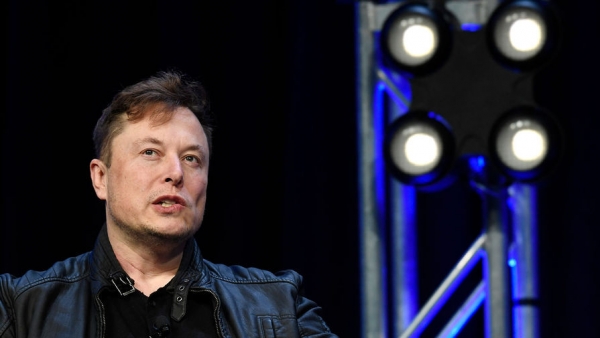 Компания Илона Маска успешно имплантировала чип в мозг свиньи