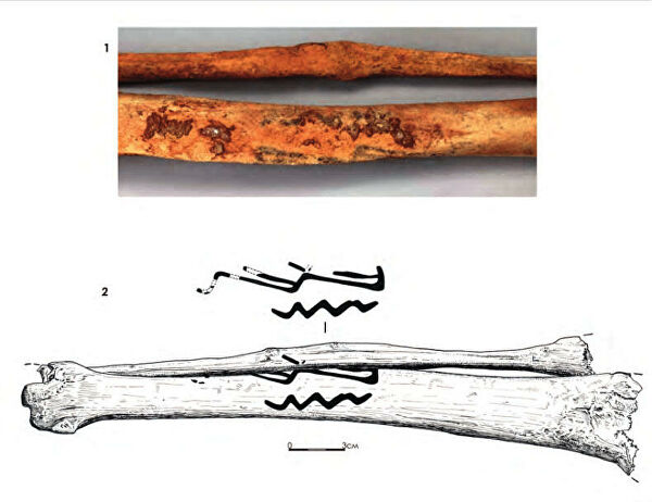 Мужчина с татуировкой змеи: неожиданное назначение самых древних наколок Мужчина с татуировкой змеи: неожиданное назначение самых древних наколок
