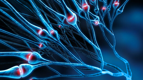 Ученые предложили способ восстановления нервной ткани