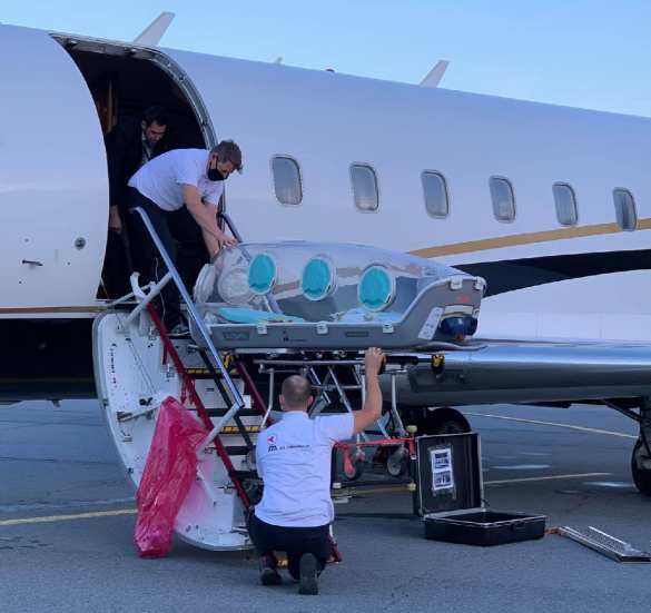 Как лучшие московские врачи Навального спасали Как лучшие московские врачи Навального спасали