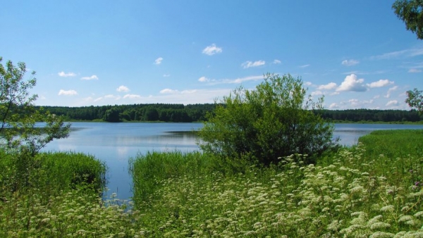 Изучено изменение климата в Калининградской области после ледникового периода Изучено изменение климата в Калининградской области после ледникового периода