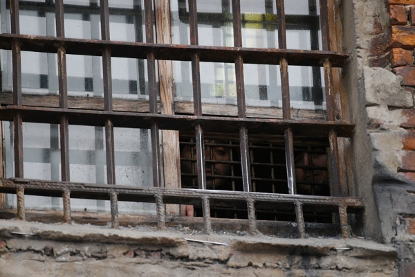 Секретный пенсионер Секретный пенсионер