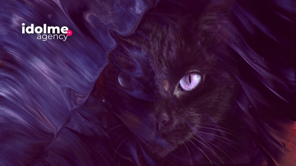 IdolMe &mdash; уникальное PR&ndash;агентство для финтех&ndash;компаний