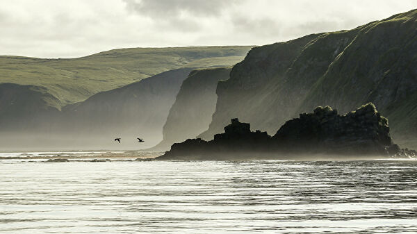"Остается только война": японцев возмутила отмена поездок на Курилы "Остается только война": японцев возмутила отмена поездок на Курилы