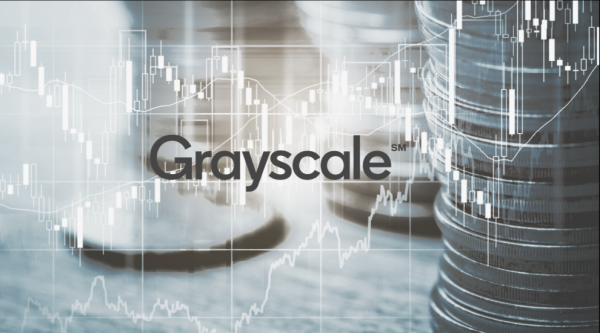 За два дня акции Bitcoin Cash и Litecoin выросли на 753% и 351%