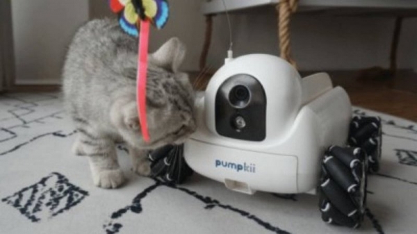 Для домашних питомцев создали робота-компаньона за 149 долларов Для домашних питомцев создали робота-компаньона за 149 долларов
