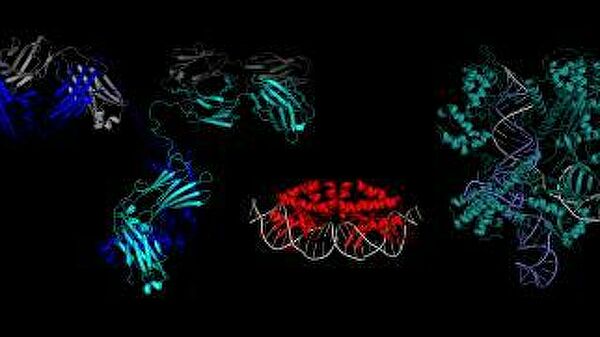 Разработан эффективный метод полного излечения герпеса